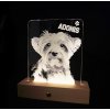 Gravírovaná led lampa s fotkou  a LED podsvietením