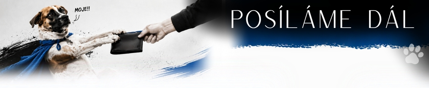desktop banner
