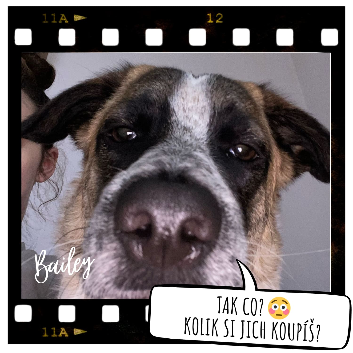 baily-kolik-si-koupis