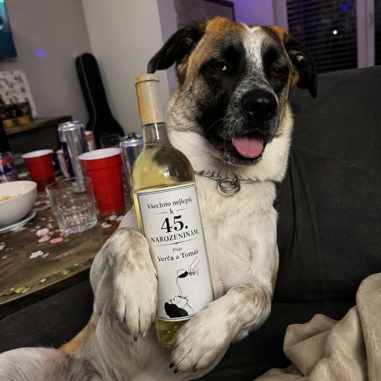 bailyho-tip-vino