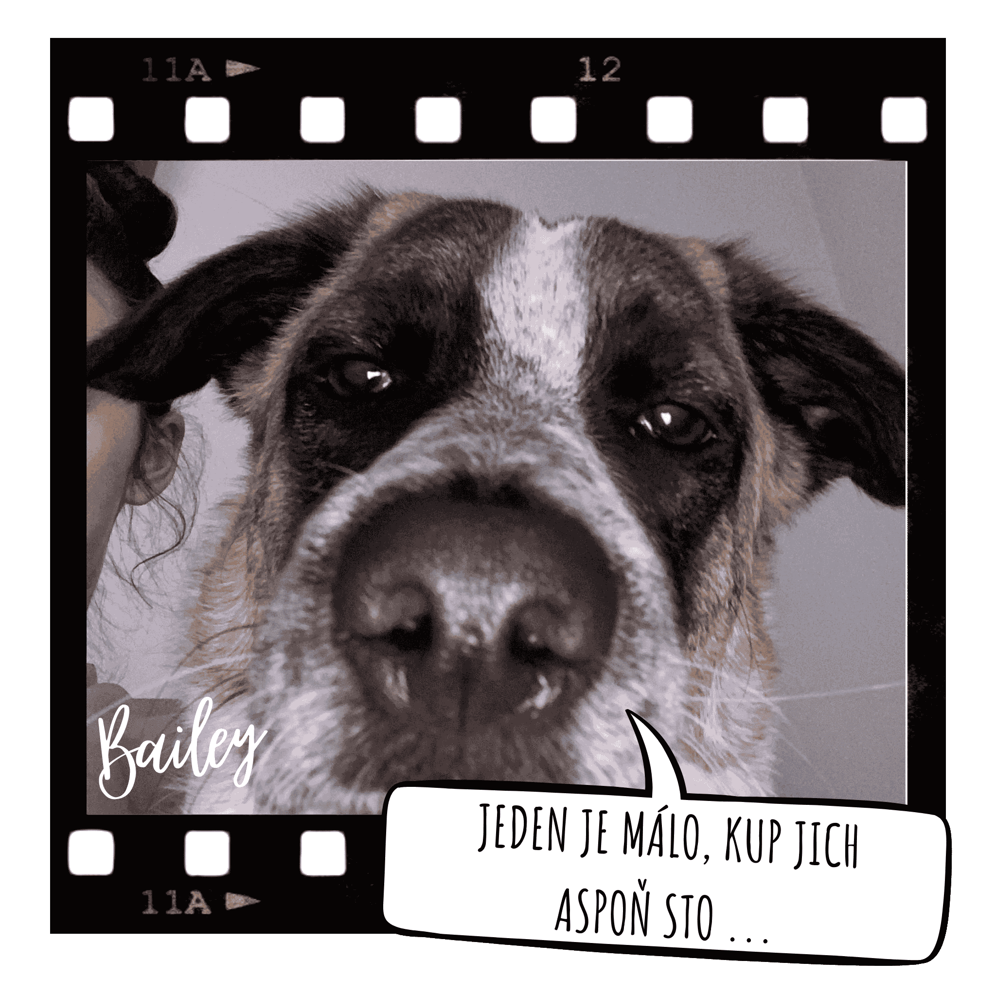 bailyho-tip-kup-jich-hodne