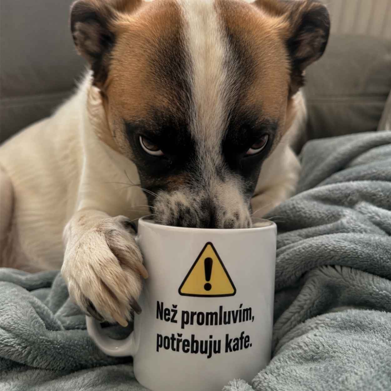 bailyho-tip-hrnek