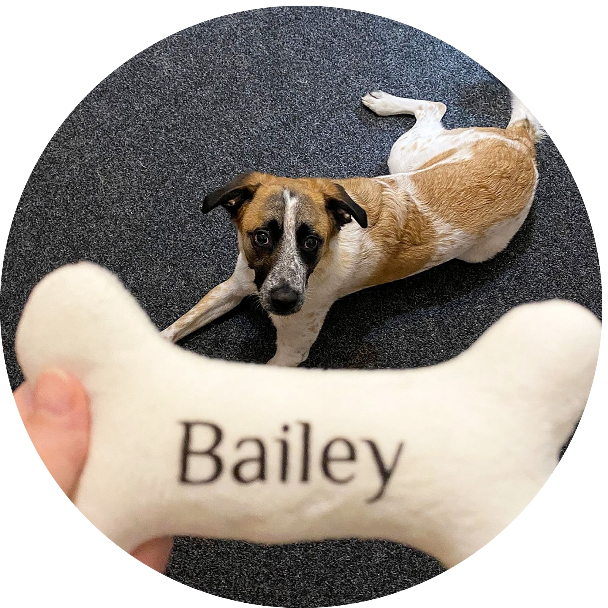 technik-bailey-fotka-na-produkt1