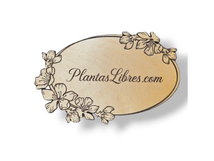 Dřevěná cedulka a jmenovka na dveře