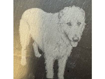 20260101 173705965 iOS