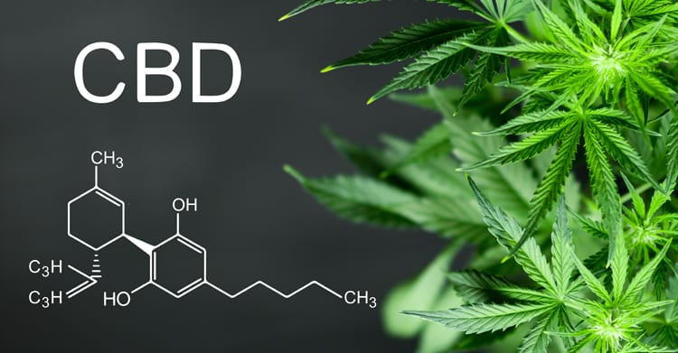 benefits-of-cbd-oil