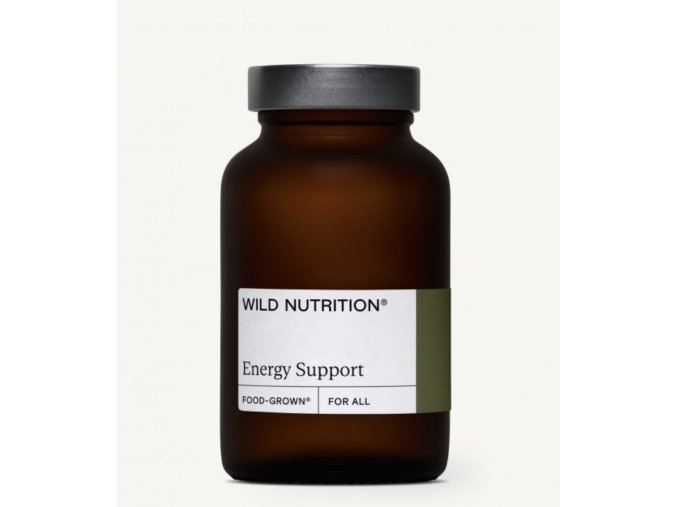 energy support