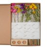 Flowers in letterbox with vases multi