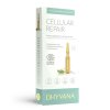 cellular repair dhyvana