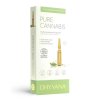 pure cannabis dhyvana
