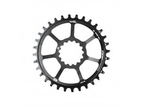 SL Chainring DM 01