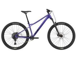 Zaskar LT Comp Pur 01
