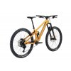 Sentinel GX Loam Gold 03