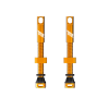 Title tubless valves gold