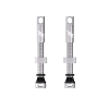 Title tubless valves silver