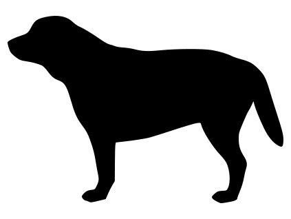 Samolepka pes - Labrador