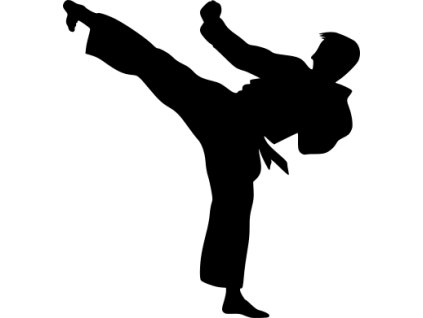 Samolepka - Karate kop