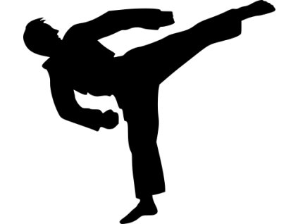 Samolepka - Karate trénink