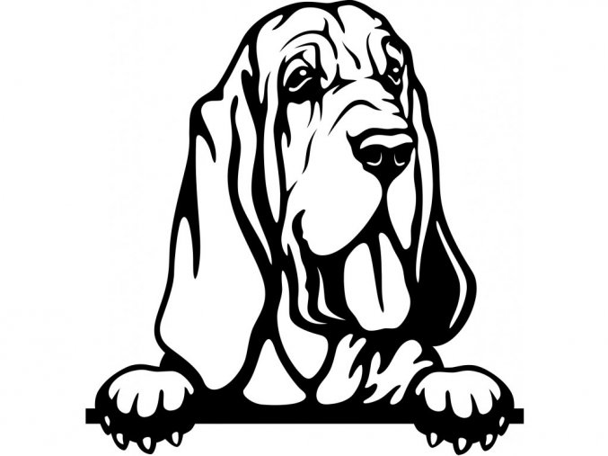 Samolepka pes Bloodhound