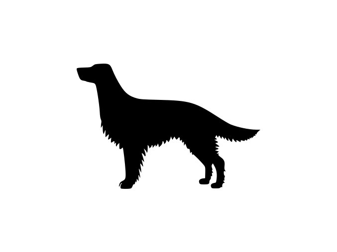 Samolepka pes - Anglický setr