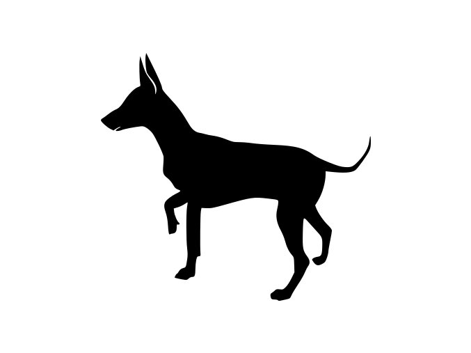 Samolepka pes - Krysařík