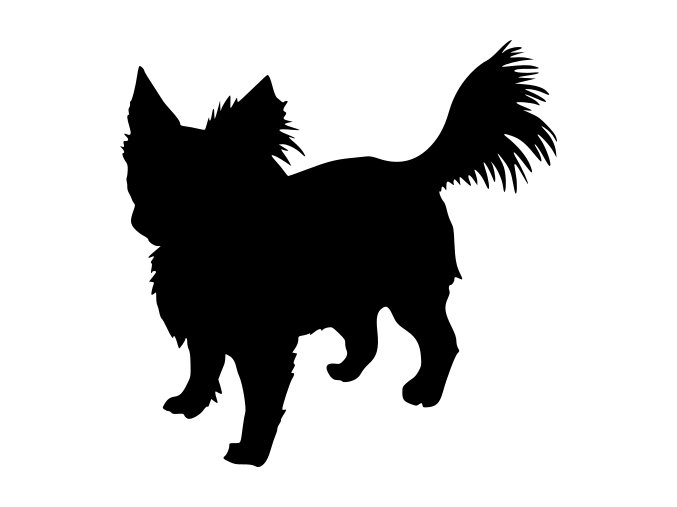 Samolepka pes - Čivava dlouhosrstá