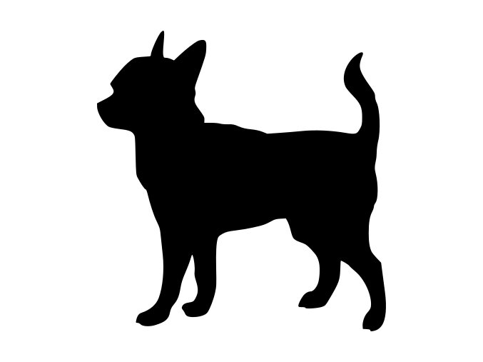 Samolepka pes - Čivava