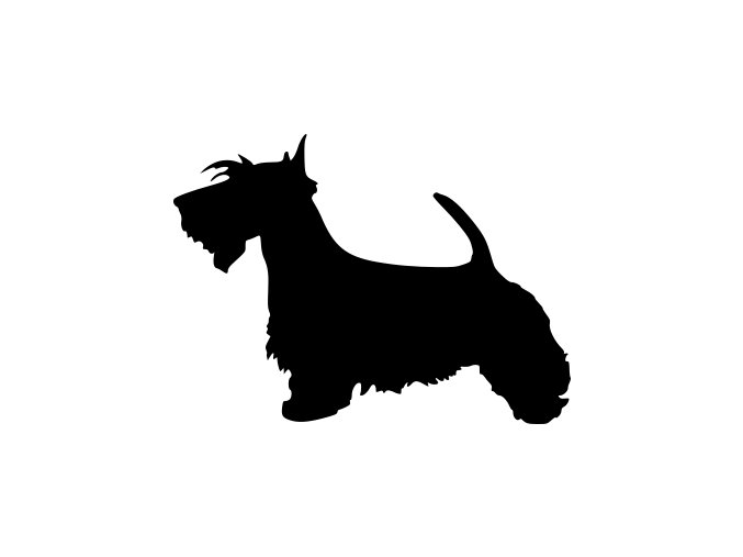 Samolepka pes - Skotský teriér