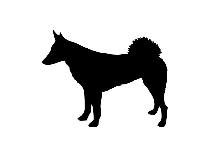 Samolepka pes - Západosibiřská lajka