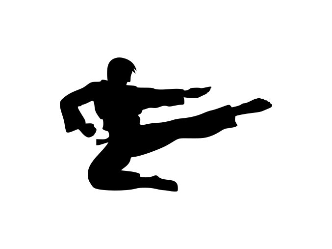 Samolepka - Karate skok