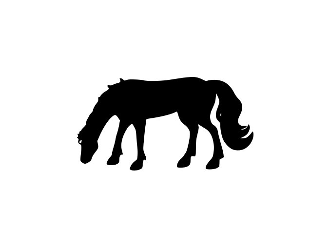 Samolepka - Kůň na pastvě