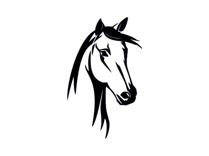 Samolepka - Hlava koně