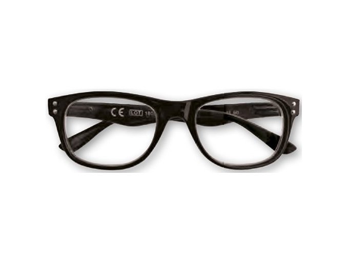 Dioptrické brýle na čtení Zippo +2.50
