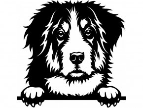 Samolepka pes Bernský salašnický pes