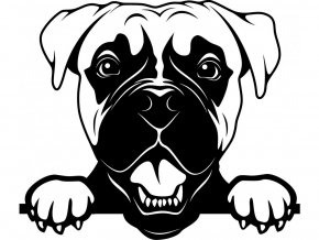 Samolepka pes Boxer s vyplazeným jazykem