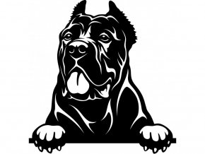 Samolepka pes Cane Corso