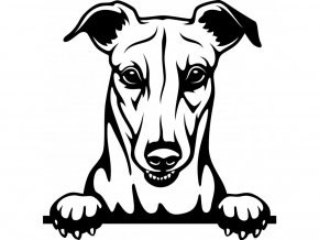 Samolepka pes Greyhound