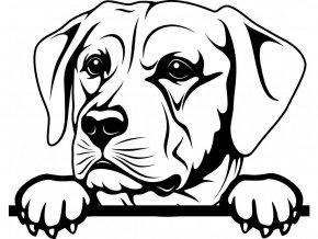 Samolepka pes Labrador