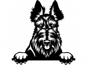 Samolepka pes Skotský teriér