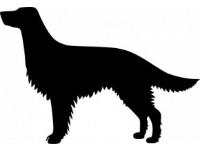 Samolepka pes - Anglický setr