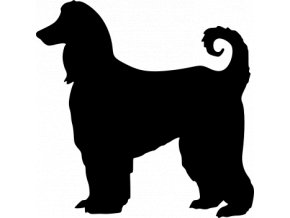 Samolepka pes - Afghánský chrt
