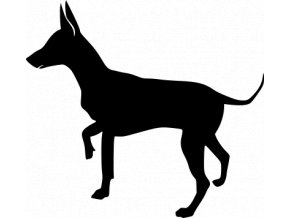 Samolepka pes - Krysařík