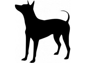 Samolepka pes - Americký bezsrstý teriér