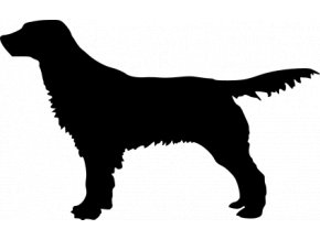 Samolepka pes - Anglický špringršpaněl