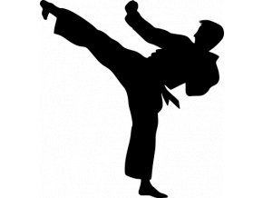 Samolepka - Karate kop