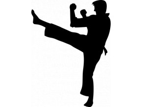 Samolepka - Karate boj