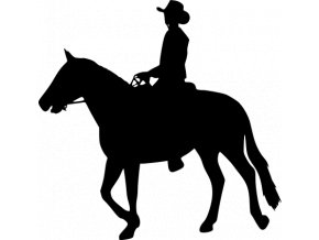 Samolepka - Chlapec na koni