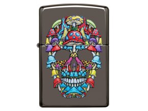 Zapalovač Zippo Skull 25564