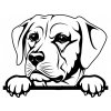 Samolepka pes Labrador