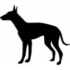 Samolepka pes - Ibizský podenco